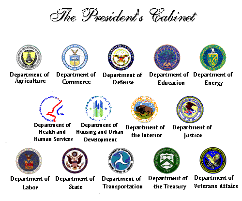 executive - government textbook project
